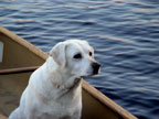 ArdaraCanoe